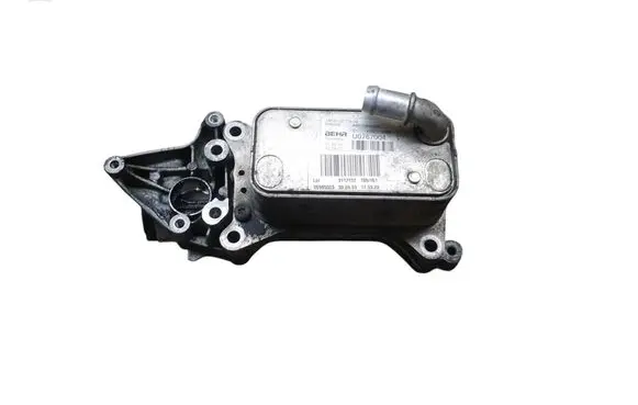 Mercedes-Benz Sprinter W906 Oil filter mounting bracket A6511800865 U0767004 3117137