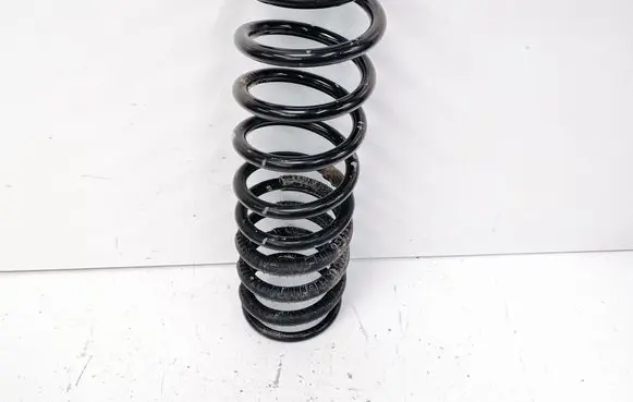 Rear coil spring