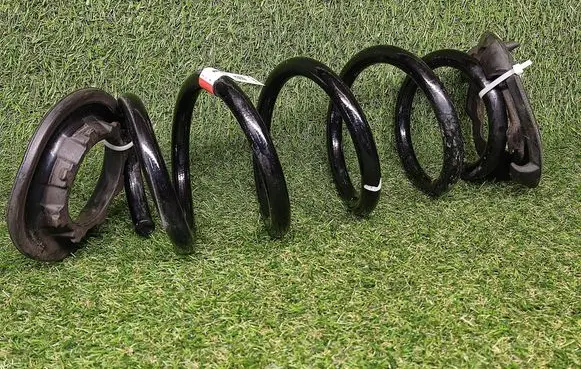 Rear coil spring