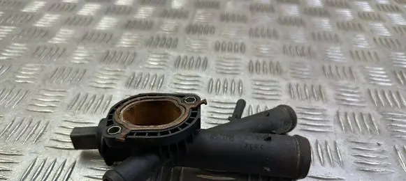 Thermostat/thermostat housing