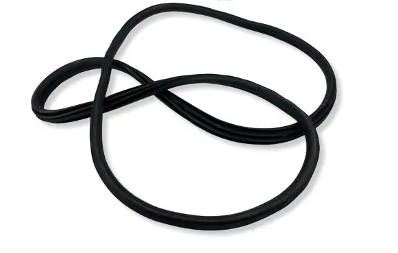 BMW X3 G01 Rear door rubber seal (on body) 7393449