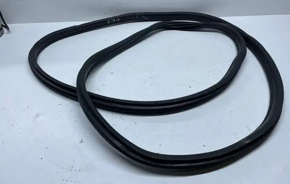 BMW X6 E71 Rubber seal front coupe door