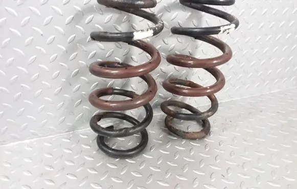 Rear coil spring