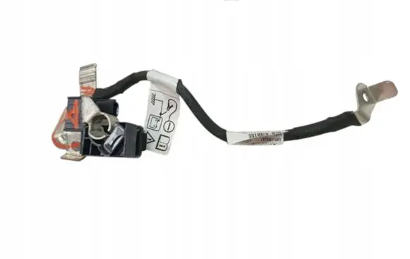Dacia Sandero III Negative earth cable (battery) 250820499R