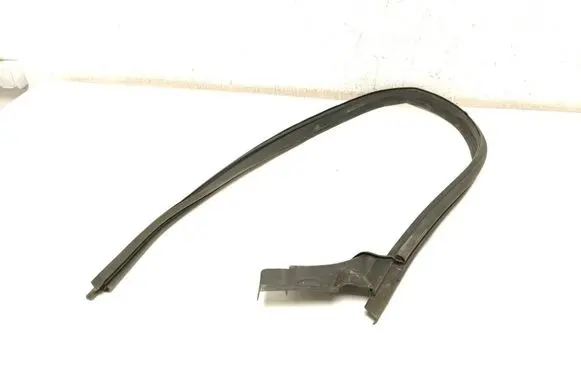 Dacia Duster II Front door rubber seal 