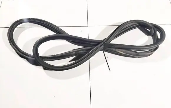Renault Laguna III Rubber seal rear door 
