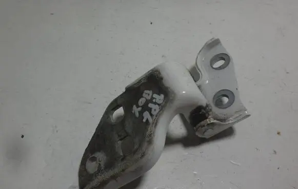 Peugeot Boxer Front door lower hinge 