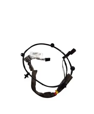 Other wiring loom