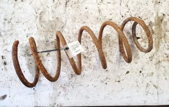 Peugeot 406 Front coil spring