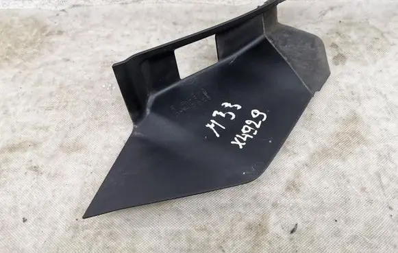 Rear/tail light trim molding