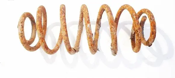 Rear coil spring