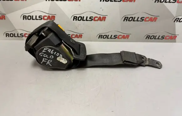 BMW 3 E46 Front seatbelt 8207956