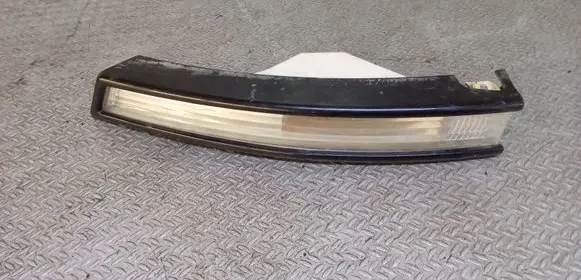 Volkswagen PASSAT B6 Front indicator light 3C0953041E