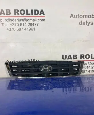 Front bumper upper radiator grill