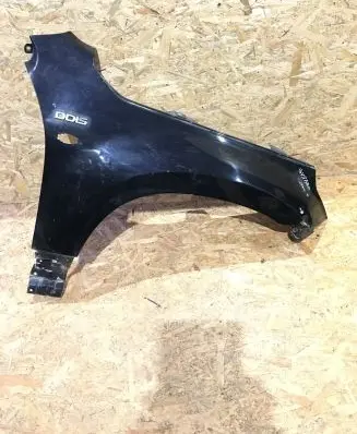 Suzuki Grand Vitara II Fender
