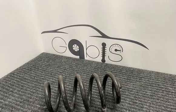 BMW 2 F44 Rear coil spring