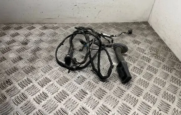 BMW 3 GT F34 Front door wiring loom 9274385 9297099