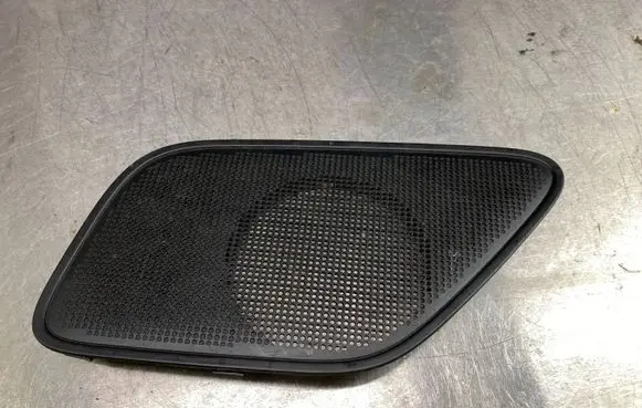 Side speaker trim/cover