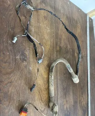 Rear door wiring loom