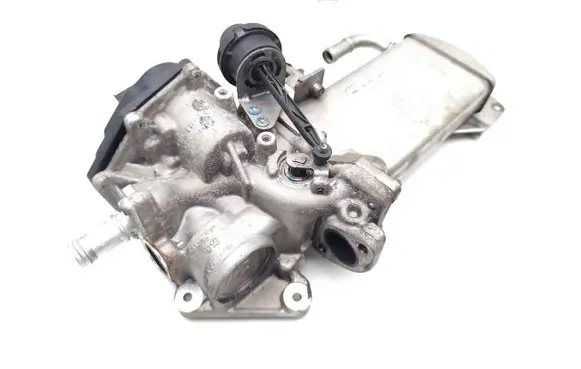 EGR valve