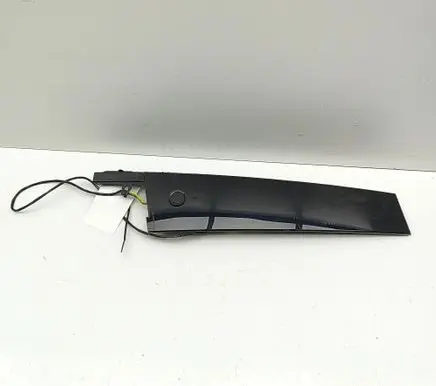 Ford Mustang Mach-E Front door glass trim molding LJ8BR20899AFW LJ8BR224B00BC