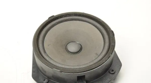 Tesla Model S Front door speaker 100483302A