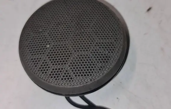 Front door speaker