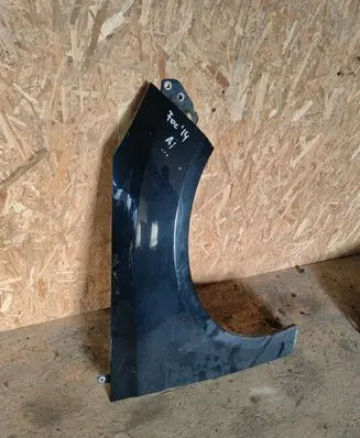 Ford Focus Fender