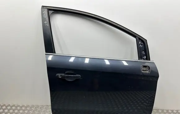 Ford Kuga I Front door