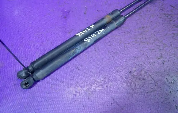 Volkswagen Tiguan Tailgate strut 5N0827550