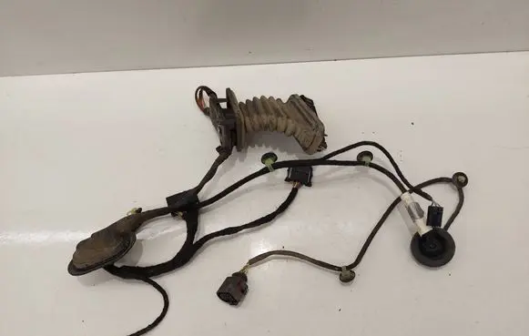 Volkswagen PASSAT B6 Rear door wiring loom 3C4971693JM TAB016298BP