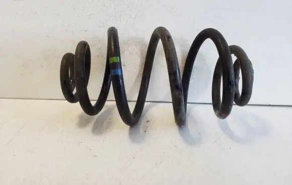 Rear coil spring