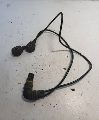 BMW 5 E39 Detonation knock sensor 0261231113
