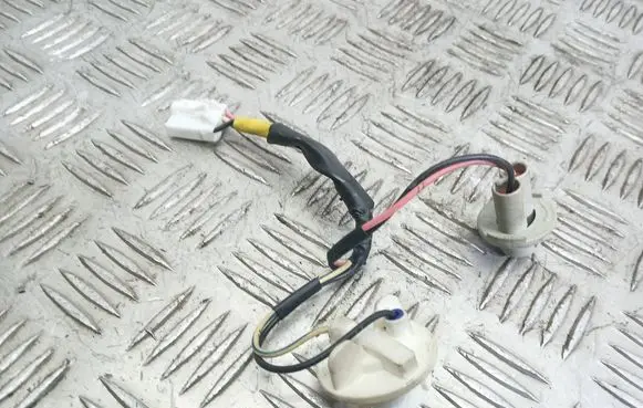 KIA Carens I Tail light bulb cover holder 