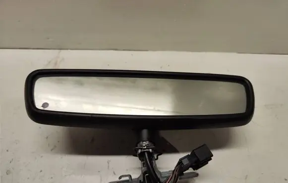Opel Signum Rear view mirror (interior) 389001