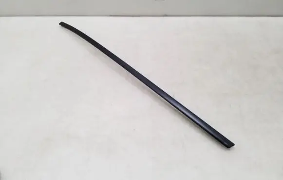 Volkswagen Phaeton Rubber seal front coupe door window 