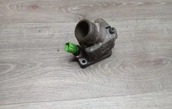 Thermostat/thermostat housing