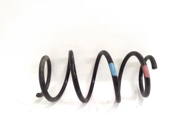 Front coil spring