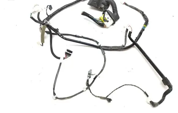Front door wiring loom