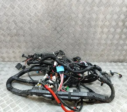 Tesla Model Y Other wiring loom 148905804F