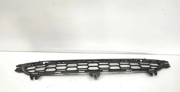 BMW X3 F25 Front bumper lower grill 8048096