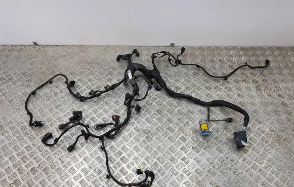 Engine installation wiring loom