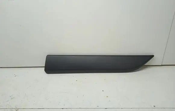 Front door trim (molding)