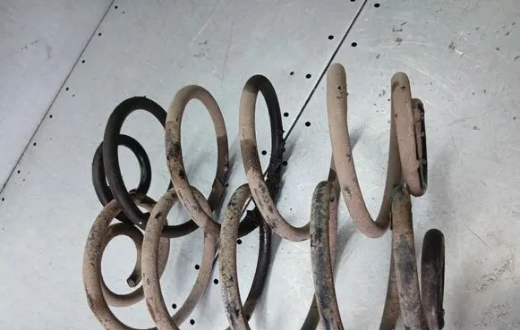 Rear coil spring