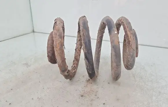 Seat Alhambra (Mk1) Rear coil spring