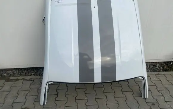 Ford Mustang VII Roof dachmust-pinya