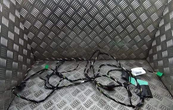 Other wiring loom