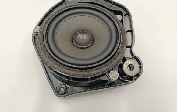 Rear door speaker
