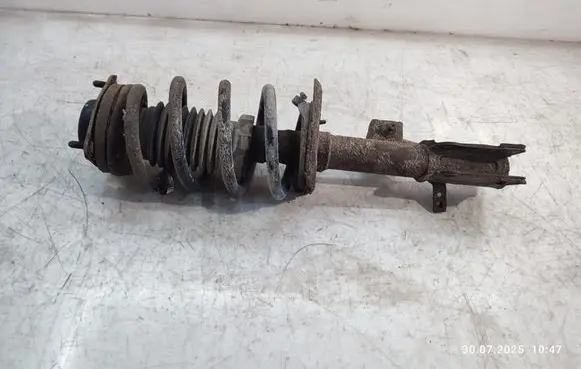 Fiat Freemont Front shock absorber with coil spring