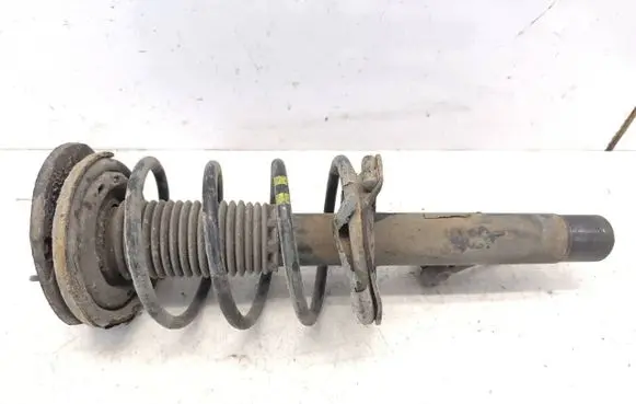 Peugeot 206 Front shock absorber with coil spring